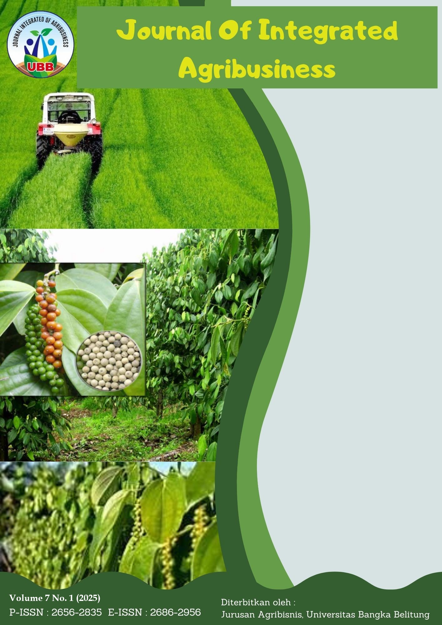 JIA Volume 7 Issue 1#2025